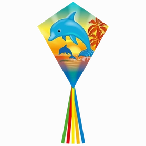 Eddy Dolphin Sunset