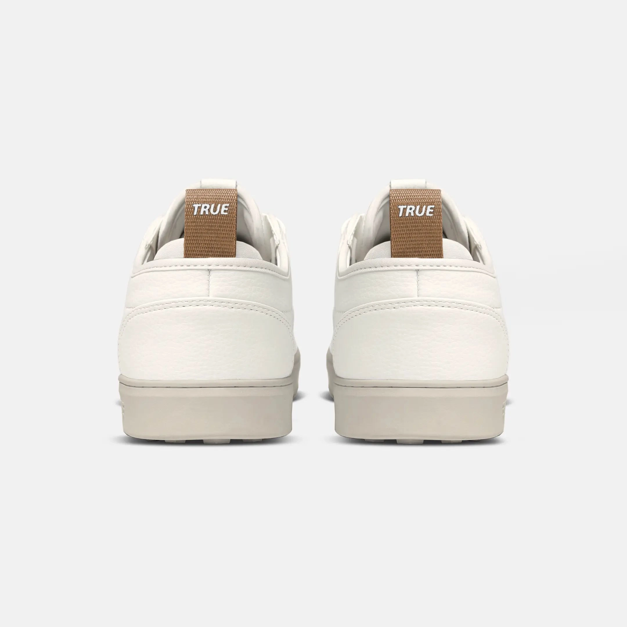 TRUE FS-01