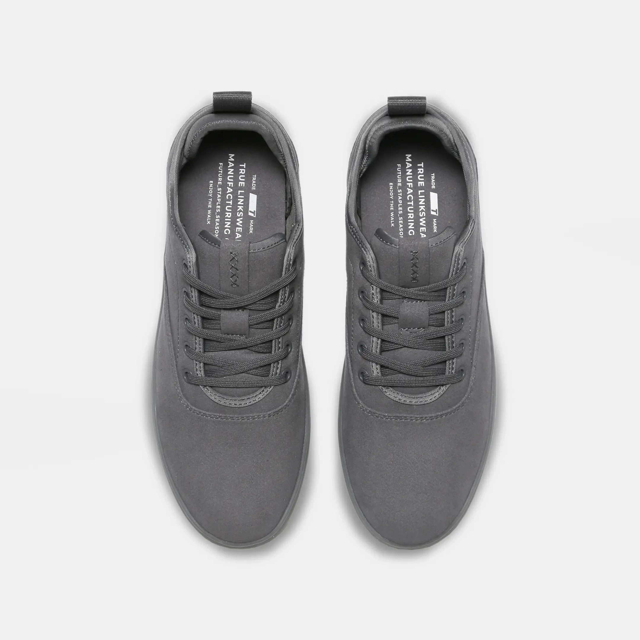 TRUE FS-01
