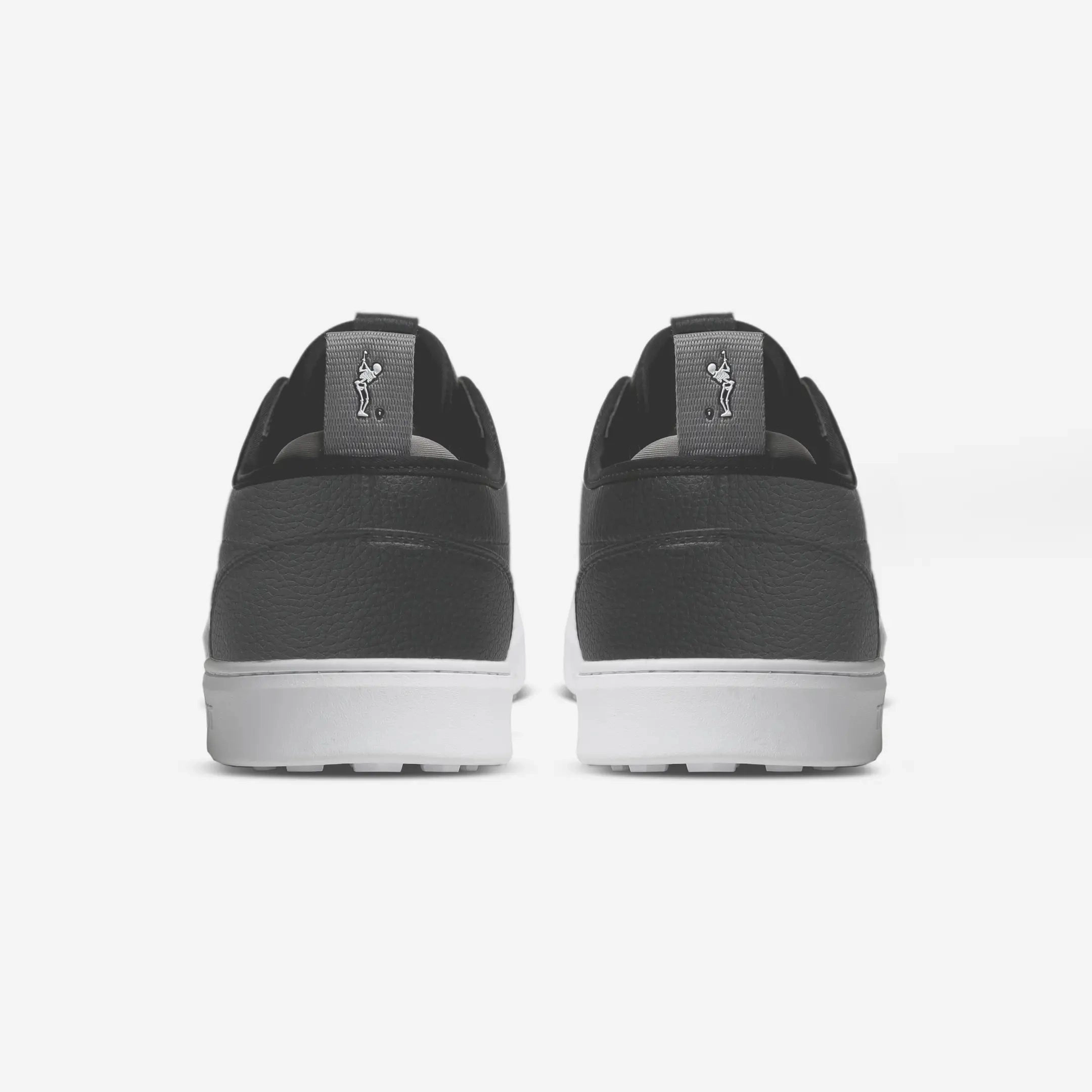 TRUE FS-01
