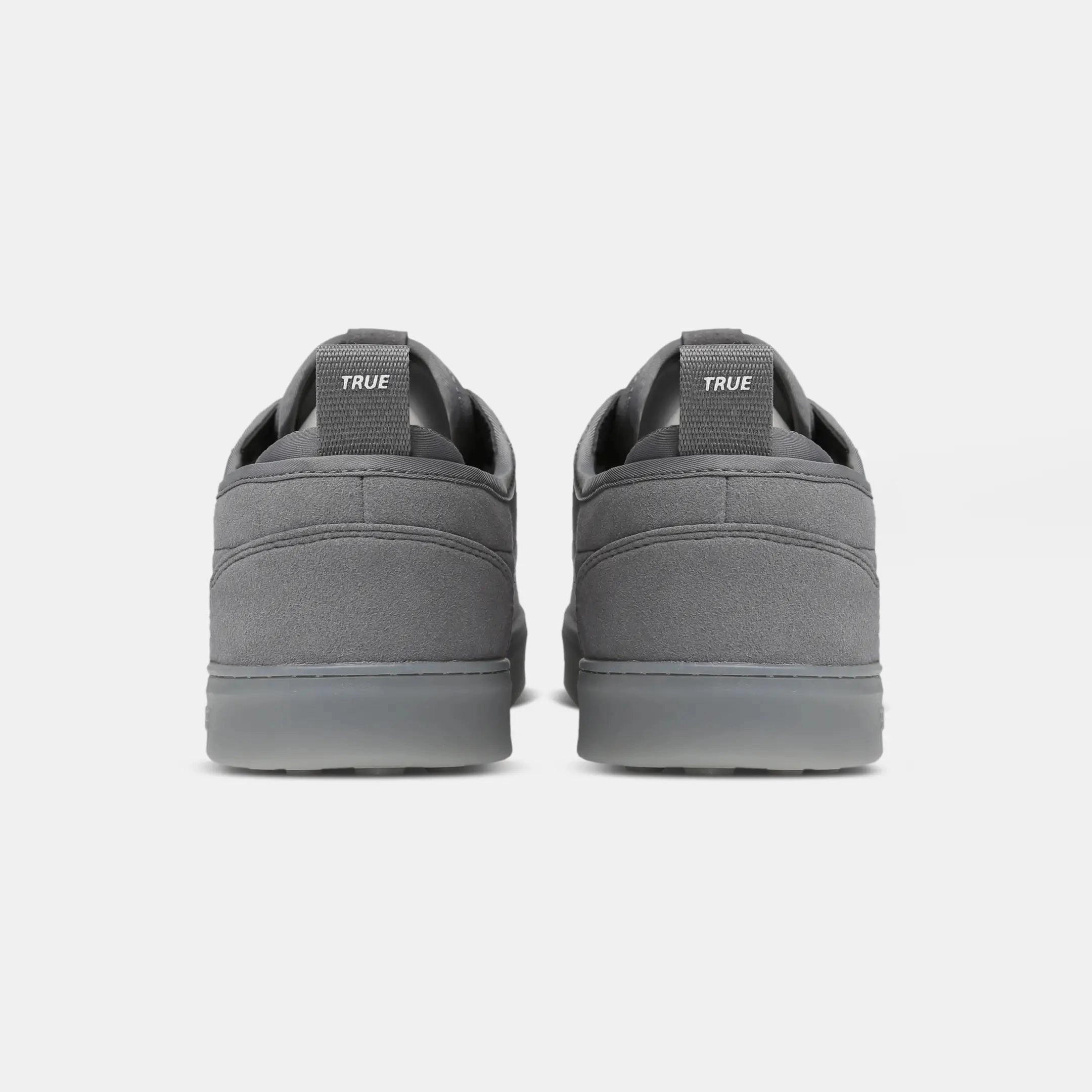 TRUE FS-01